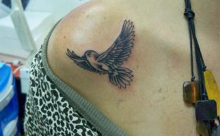 קעקוע של ציפור